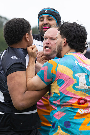 Ruggerfest 26-8498