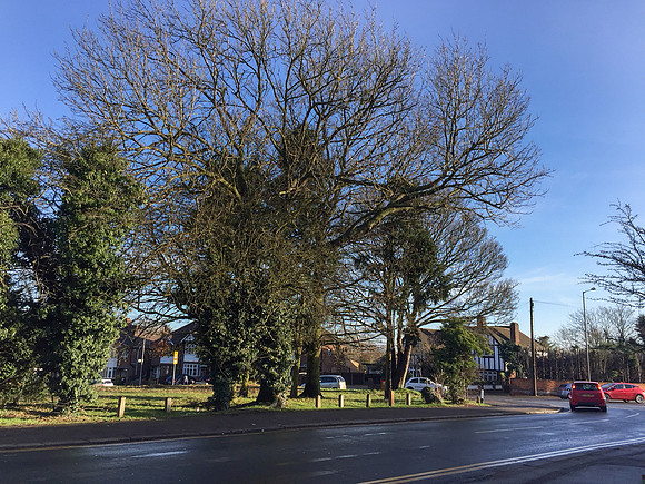 Site of Ian's birth, The Chase, Birchen Grove, Stopsley, Luton