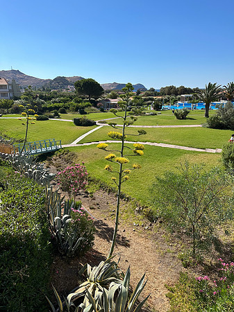 Lesvos 2024-4515