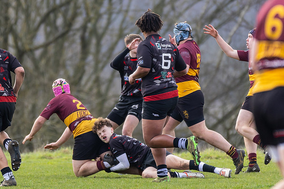 MK_Ampthill-1239