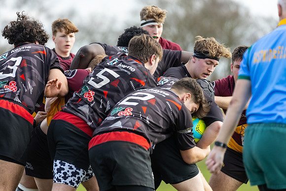 MK_Ampthill-1059