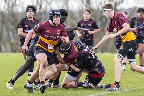 MK_Ampthill-1236