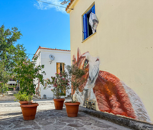 Lesvos 2024-4568