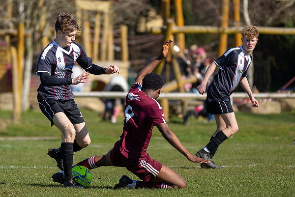Panthers vs Hawks-7483