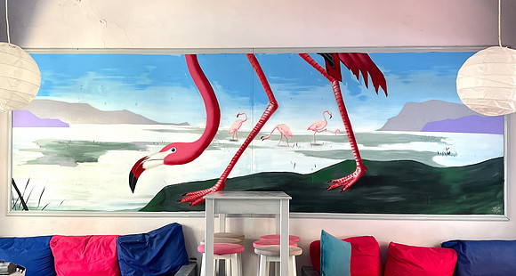 Lesvos 2024-6510